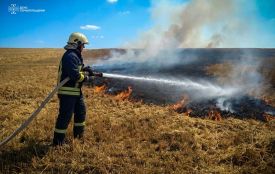 Горіло поле пшениці в селі Осташівці