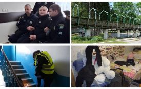 «Дитячі» злочини, про які говорила не лише Тернопільщина: що нового і де зараз ці справи