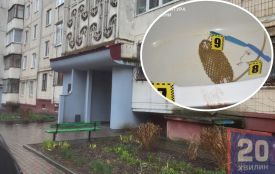 Вбивство жінки на Володимира Великого: підозрюваному загрожує довічне ув'язнення