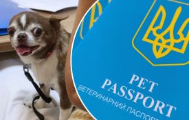 В Україні запроваджують нові паспорти для домашніх тварин: що треба знати