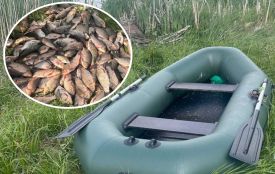 На ставку в Романівці затримали рибалку з сітками. Шкоду оцінили в 220 тисяч гривень