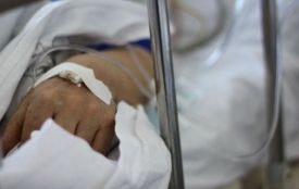 У Чорткові помер чоловік після падіння з дерева