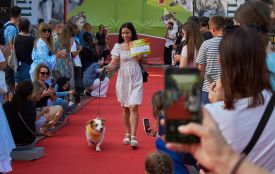 «Хвостате свято» вперше організовують у Тернополі: що підготували та як можна долучитися