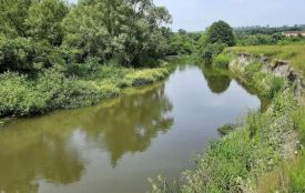 На березі Серету виявили тіло жінки з Чорткова, яку  розшукували рідні