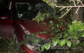П’яні скоїли ДТП і покалічили людей, але тюрми уникнули. Чому?