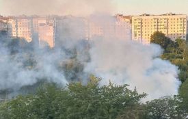Горять дачі на Тарнавського: на вулицях дим