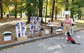 «Можна знайти чотирилапого друга»: на фестивалі PetVille допомагали хвостикам