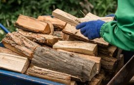 Хотів купити дрова через соцмережі, а втратив понад 9 тисяч гривень: поліція застерігає від шахраїв