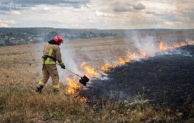 Понад два гектари сухостою та пожнивних залишків горіли на Тернопільщині