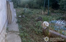 Їв корм його тварин: на Кременеччині чоловіку загрожує в'язниця за вбивство сусідського кота