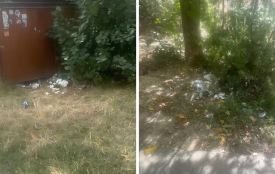 Купи пакетів та пляшок: тернополяни скаржаться на засмічене узбіччя на вулиці Курбаса