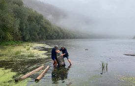 У змілілому Дністрі знайшли кам'яну пам'ятку ймовірно Австро-Угорської доби