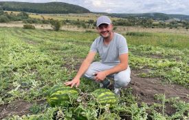 «Наші кавуни не гірші за херсонські»: ветеран вирощує баштан на Бережанщині