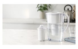 Картридж Ecosoft для води з накипом і запахом хлору (на правах реклами)