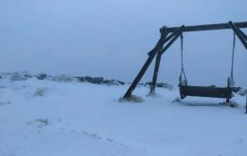 У Карпатах випав сніг: на горі Піп Іван температура опустилась до -1°C
