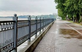 У Тернополі патрульні рятували велосипедиста, який знепритомнів під час руху