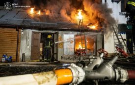 Горіла сауна у Великій Березовиці