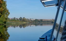 Синоптики попереджають про туман на Тернопільщині