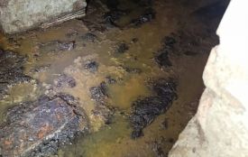 Сморід та каналізаційні стоки: тернополяни показали, в якому стані укриття у будинку на Карпенка