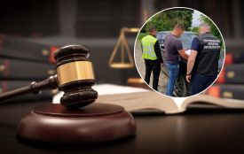 Організував незаконну порубку дерев: до 5 років засудили експомічника лісничого на Тернопільщині