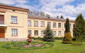 То було насильство над дитиною чи ні? Що ми дізналися про скандал у спецшколі