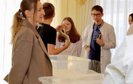 Ярмарок, допомога ЗСУ та змії: як у Тернополі відзначили День психічного здоров’я