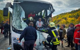 На Тернопільщині зіткнулися лісовоз та автобус: травмувалися двоє людей