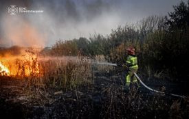 До 6120 гривень штрафу: на Тернопільщині виявили чотирьох паліїв сухостою
