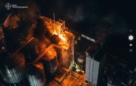 Рятувальники показали кадри з масштабної пожежі в Козові: згоріла техніка та зерно соняшника