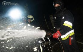 Рятувальники показали кадри з ліквідації пожеж, що виникли через влучання дронів на Кременеччині