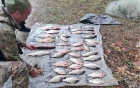 Збитки на понад 75 тисяч гривень: на незаконному вилові риби сітками викрили чоловіка з Чортківщини