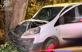 У Тернополі п’яний водій Peugeot в’їхав у дерево: драгер показав 1,89 проміле