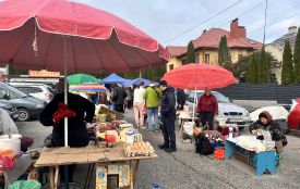 Капуста — від 20 гривень, кролятина — 270: які ціни на сільськогосподарському ярмарку