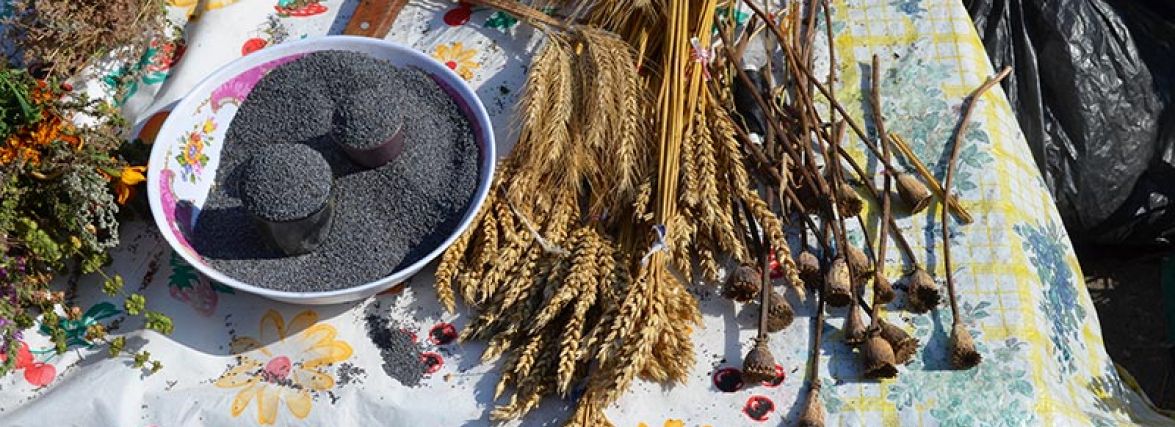 Свято Маковія святкують 14 серпня
