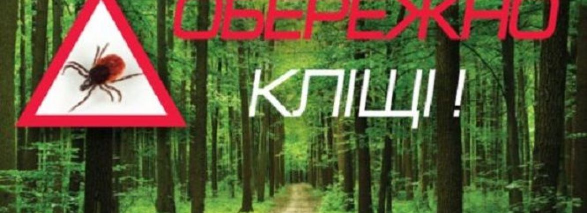 Кліщі вийшли на "полювання": як вберегтися та що робити, якщо кліщ присмоктався