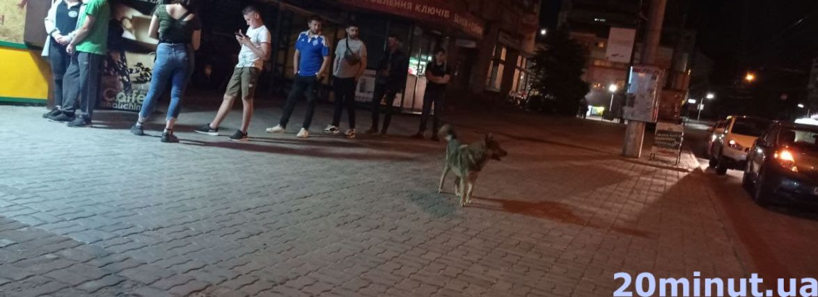 Гроші не пахнуть? Хто в Тернополі продає алкоголь вночі – ми перевірили для вас (ВІДЕО)