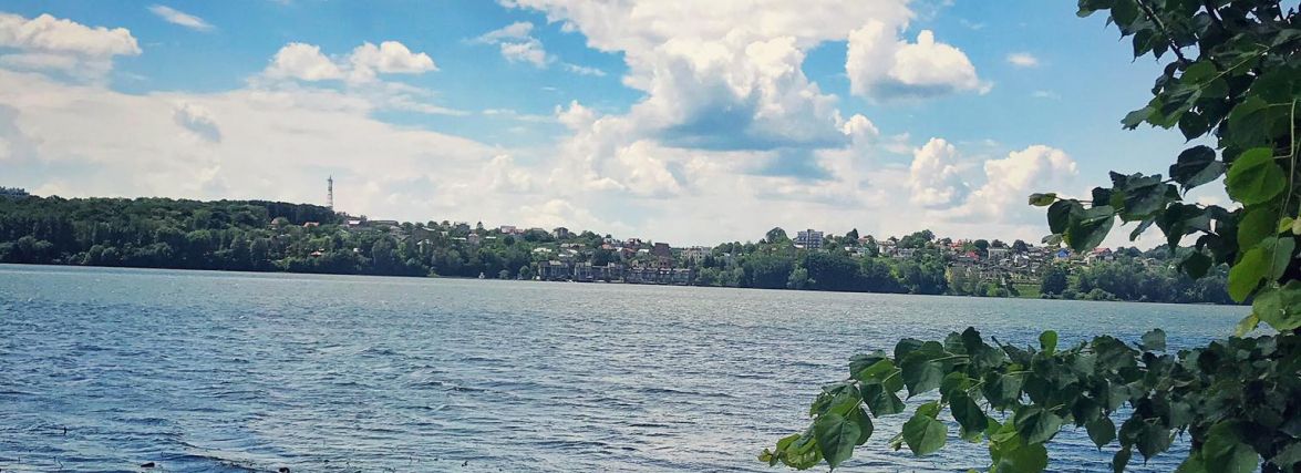 Став буде цвісти та пахнути і цього літа, кажуть екологи. Чи вмирає водойма і як її врятувати?
