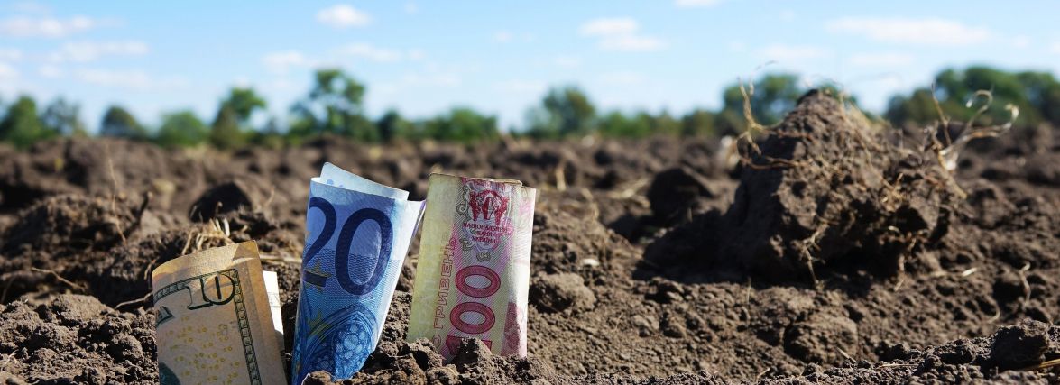 Ринок землі в Україні вже працює. Скільки гектарів продали на Тернопільщині? (ГРАФІКА)