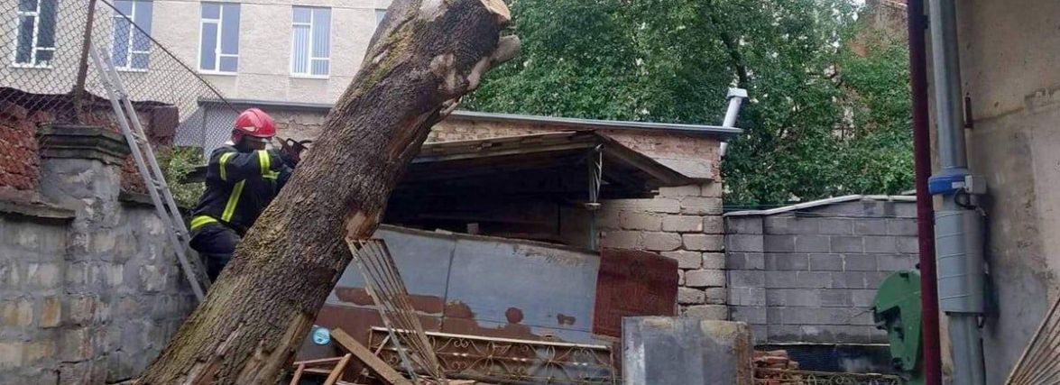 Негода повалила дерева на Тернопільщині