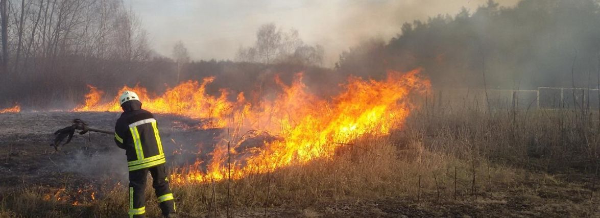 Ні дихати, ні жити – коли ж ви вже напалитесь? На Тернопіллі вже згоріли понад 307 гектарів