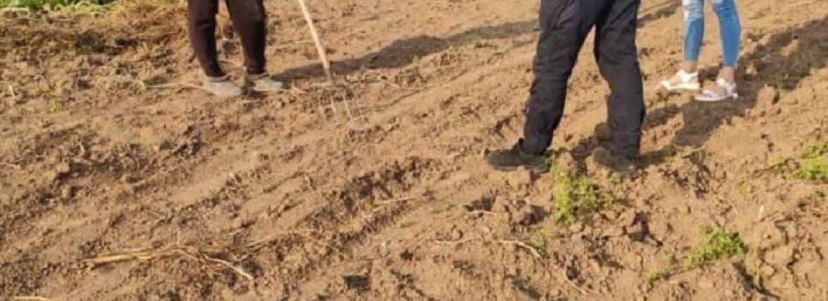 Рейди: від початку вересня на дев'ятьох паліїв склали адмінпротоколи. Що їм загрожує