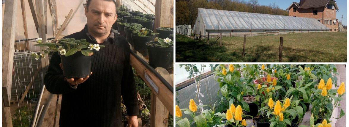 Зробив підземну теплицю на власному городі і не пошкодував: тепер вирощує і продає квіти цілий рік