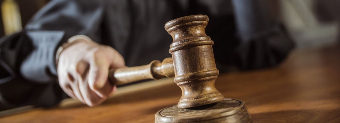 У Тернополі пітбуль до смерті покусав бівер йорка на дитмайданчику. Що вирішив суд