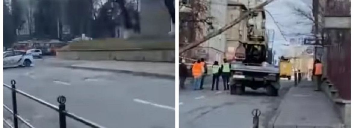 Дерево впало на дорогу посеред вулиці в Центрі. ВІДЕО ДНЯ