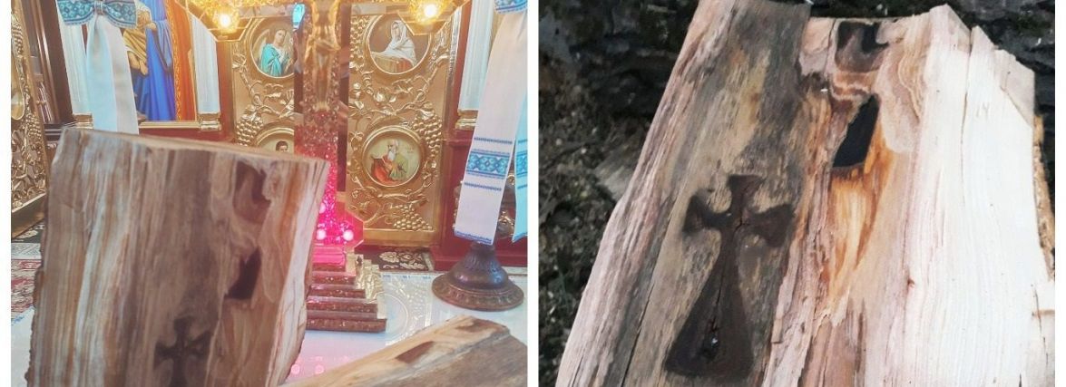 На Тернопільщині у стовбурі дерева знайшли нерукотворний хрест