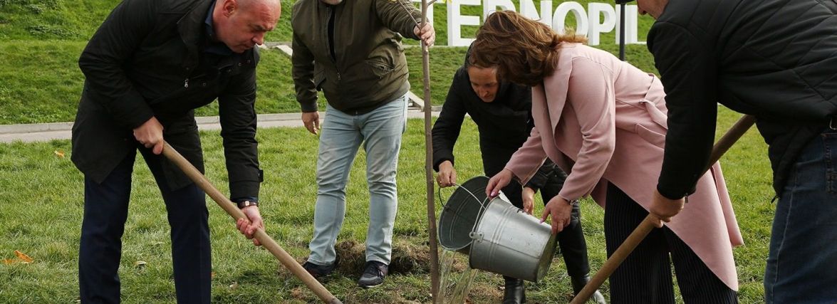 У 2021 році в Тернополі висаджено 600 нових дерев та кущів (пресслужби)