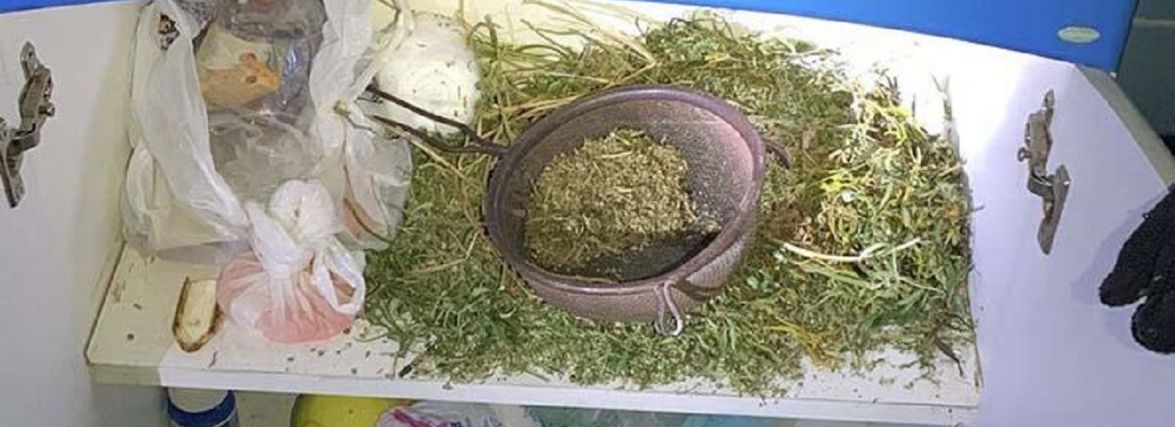 Військовий разом зі спільником вирощували та продавали канабіс, їх затримали
