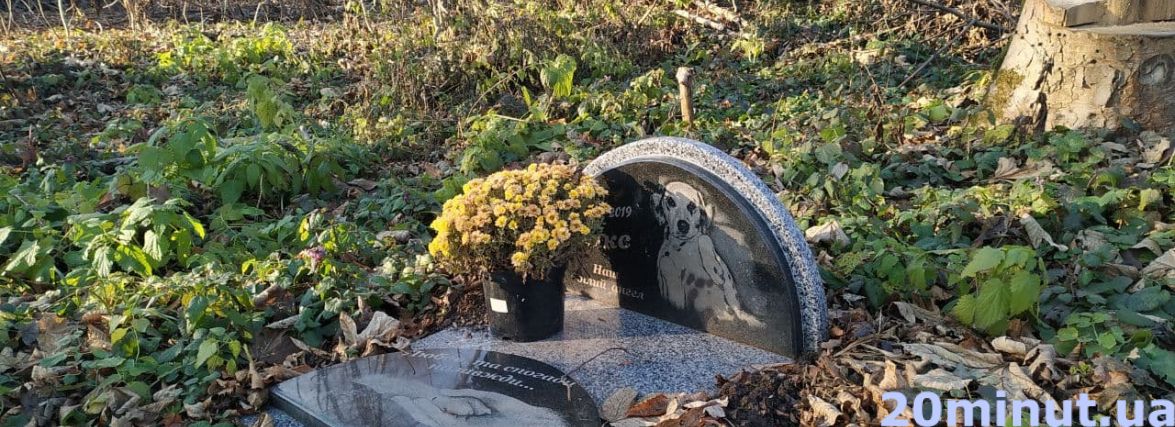 Встановлюють гранітні пам'ятники, несуть квіти. Як виглядає кладовище для тварин і де їх можна поховати?