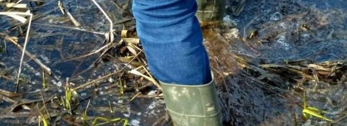 На Чортківщині у ставку в болоті застряг чоловік та не зміг вибратися самостійно