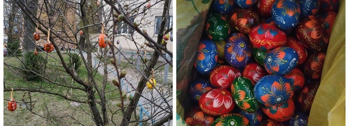 Сотнею писанок прикрасили дерева в ОСББ "Чалдаєва" у Тернополі: ФОТО ДНЯ